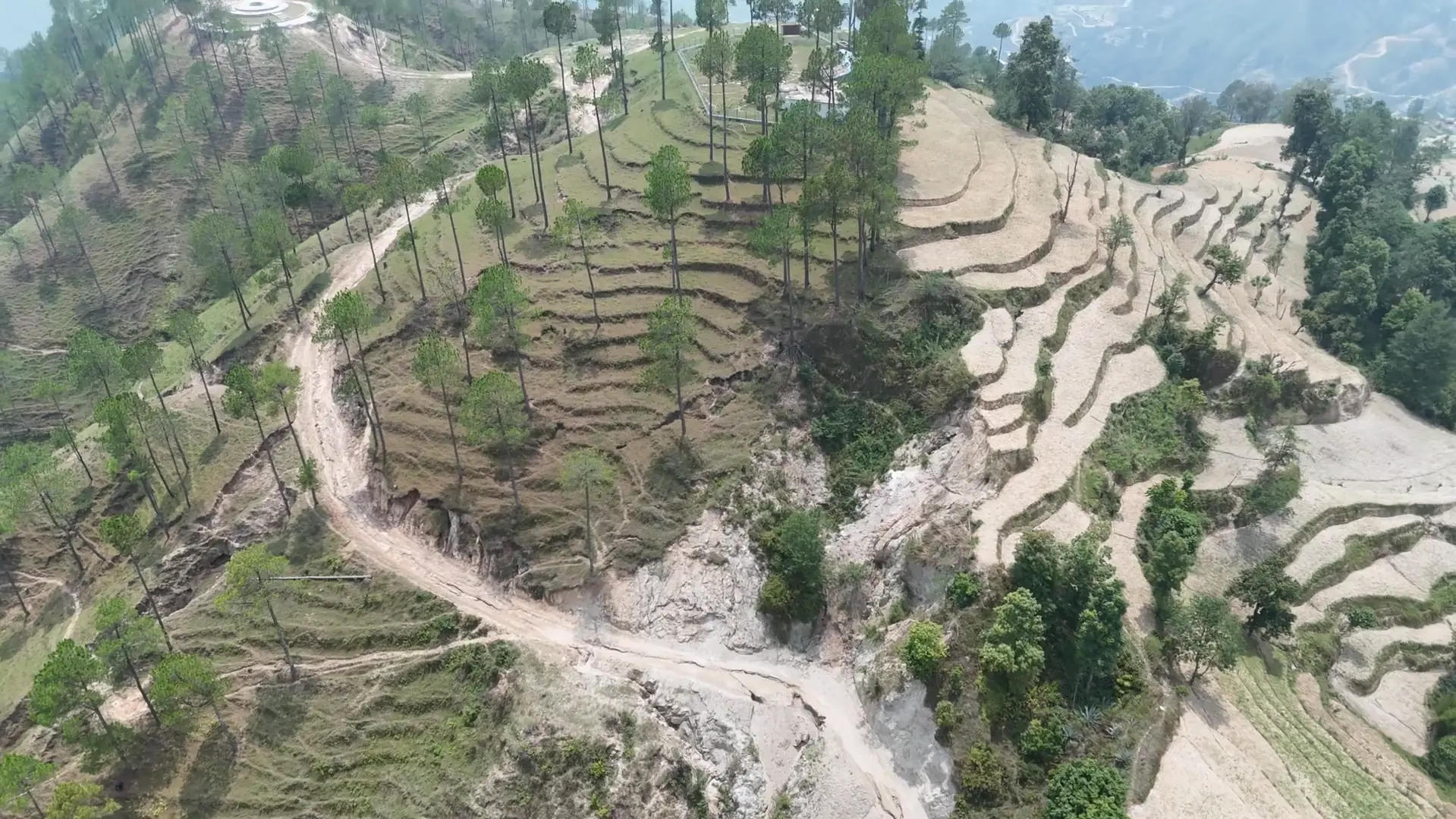 Aerial view of a dry gully cutting down beside farm terraces
