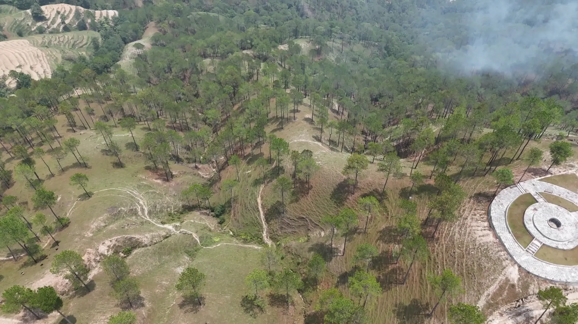 Aerial view of a pine slope with smoke rising from a fire